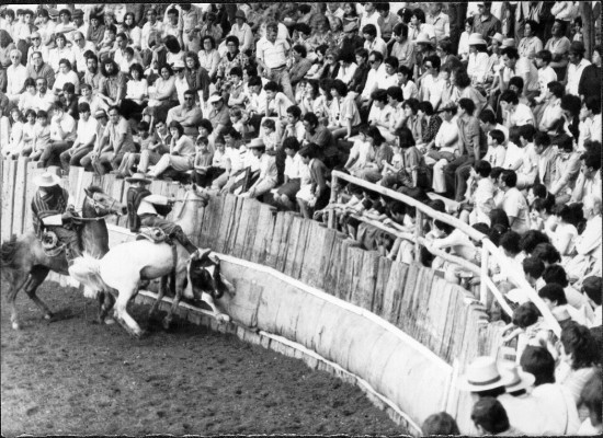 Rodeo