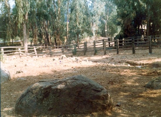 Jurado