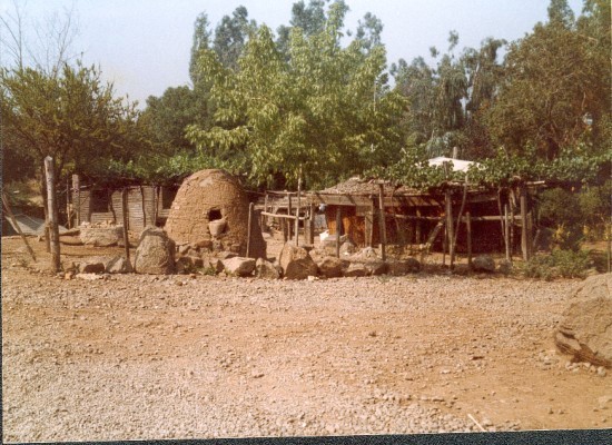 Jurado