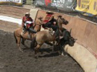 Rodeo La Reina 2009
