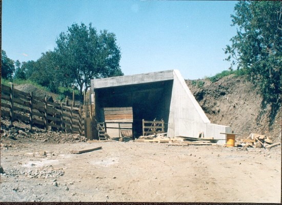 Jurado