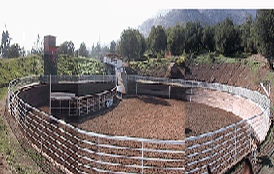 Jurado